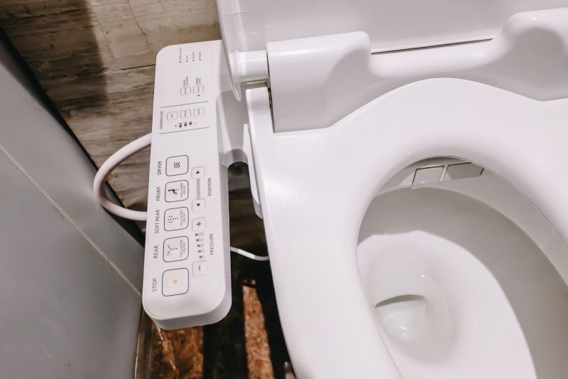 Smart Toilet with Bidet Features